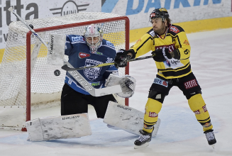 HEUTE 19:15 Uhr: Vienna Capitals – Fehervar AV19