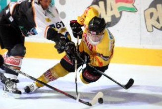 Capitals-Generalprobe für Ligaauftakt bei Ocskay-Gedenkturnier