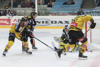 Capitals empfangen Fehervar zum Neujahrsauftakt