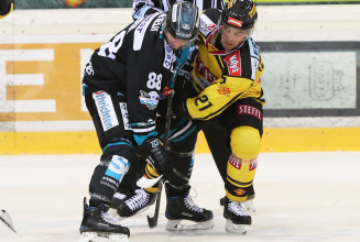 Vienna Capitals wollen Erfolgslauf in Linz fortsetzen