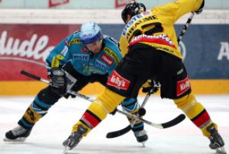 Vienna Capitals wollen ersten Sieg gegen Black Wings Linz