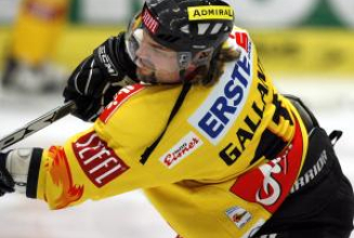 Vienna Capitals fahren optimistisch nach Szekesfehervar