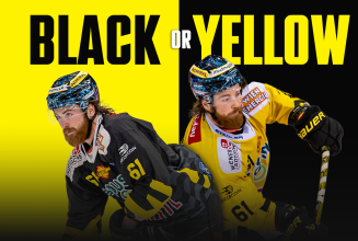 Heimjersey: Schwarz oder Gelb? DU entscheidest!