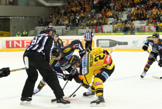 HEUTE 16:00 Uhr: Vienna Capitals -Dornbirn Bulldogs