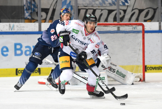 Capitals verpflichten Top-Stürmer James Sheppard