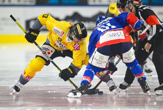 Capitals empfangen Innsbrucker Haie in der STEFFL Arena