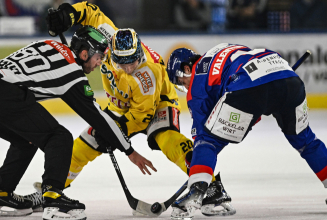 Capitals empfangen Haie in der STEFFL Arena