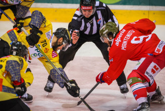 Capitals können gegen HCB Viertelfinale fixieren