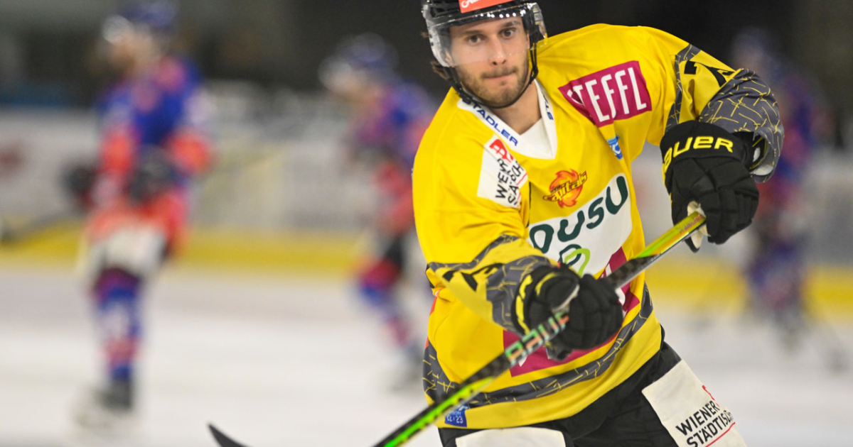 Defender Niklas Werchel moves to Linz