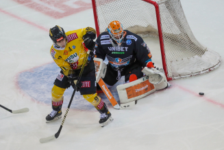 1:2-Heimniederlage gegen Linz