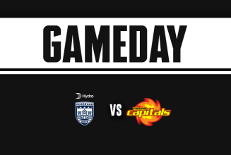 HEUTE 16:00 Uhr | Hydro Fehérvár AV19 - Vienna Capitals