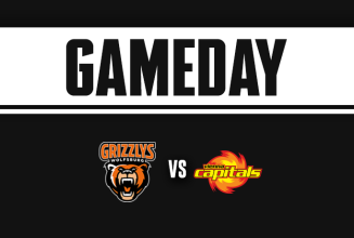 HEUTE 14:00 Uhr | Grizzlys Wolfsburg - Vienna Capitals