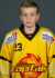 Humer