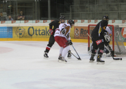IMG 5276