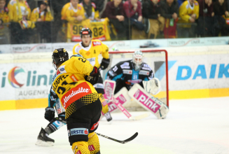 Drei Punkte bei den Black Wings im Visier
