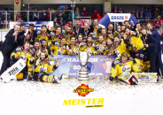 Meister-Poster.JPG
