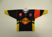 Mini Jersey 1.JPG
