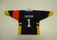Mini Jersey 2.JPG