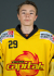 Riedlmayer