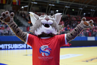 Gewinne Tickets für die Handball EURO 2020