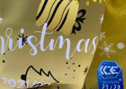Weihnachts-Jersey 2021 SM 4