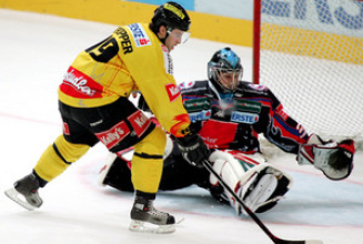 Vienna Capitals gastieren im Haifischbecken