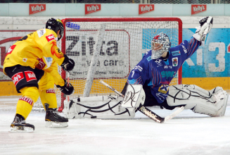 UPC Vienna Capitals peilen Heimsieg gegen Alba Volan an