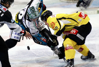 Caps wollen mit erstem Heimsieg gegen Linz die Serie ausgleichen