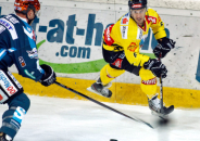 linzrotterhedlund
