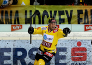 linztorjubelrotter