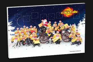 Vienna Capitals Fanshop ist online