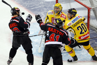 Capitals peilen gegen Znojmo fünften Heimsieg in Folge an – Harald Ofner wird verabschiedet